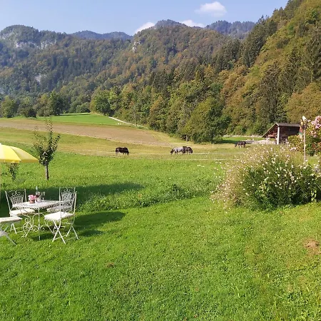 Apartments Green Paradise Bohinjska Bela Exterior photo