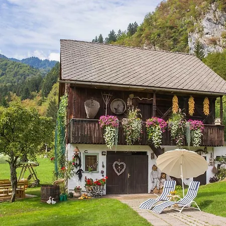 Apartments Green Paradise Bohinjska Bela Exterior photo