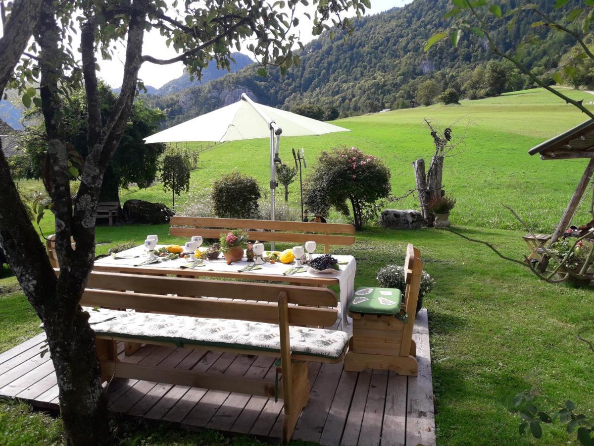 Paradise Bohinjska Bela