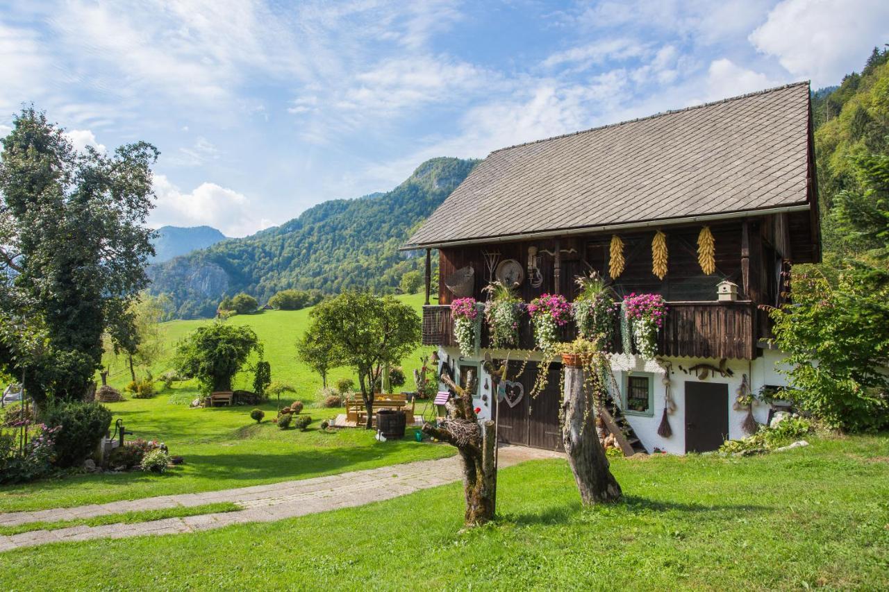 Paradise Bohinjska Bela