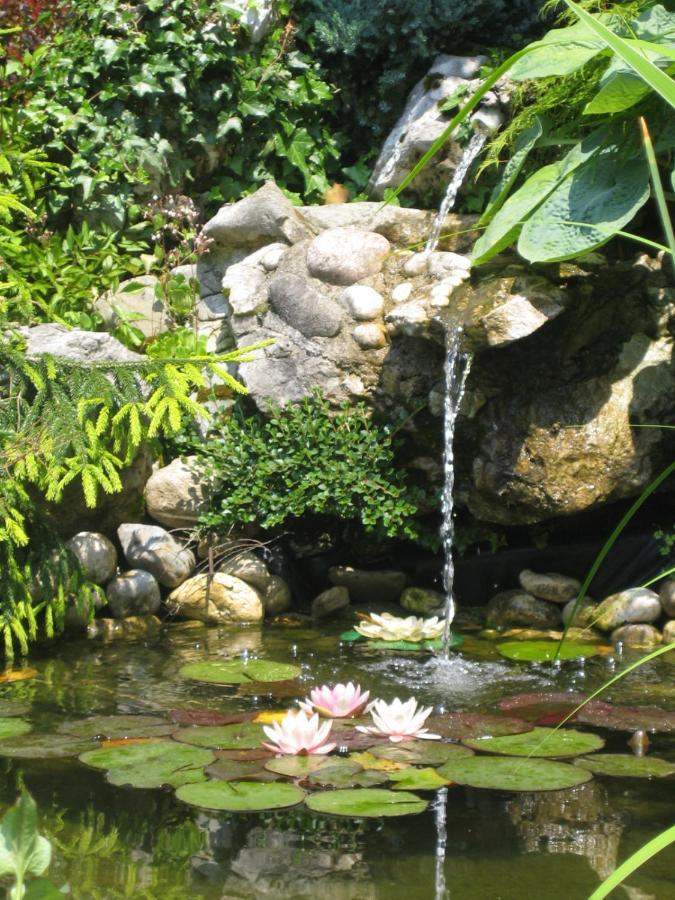 Paradise *