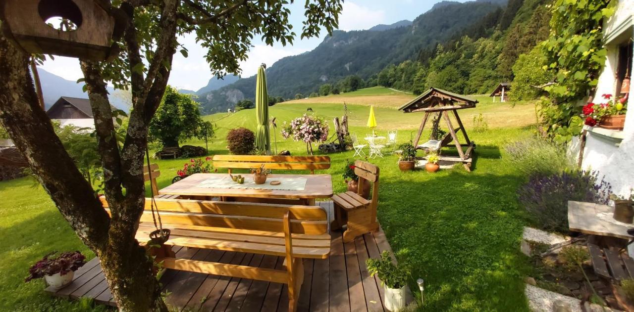 Paradise * Bohinjska Bela