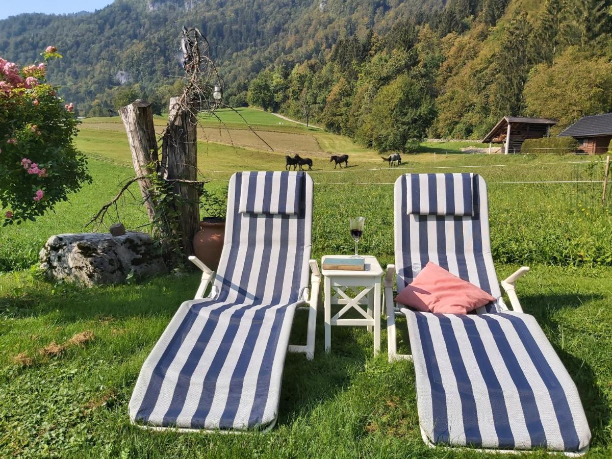 Paradise Apartment Bohinjska Bela