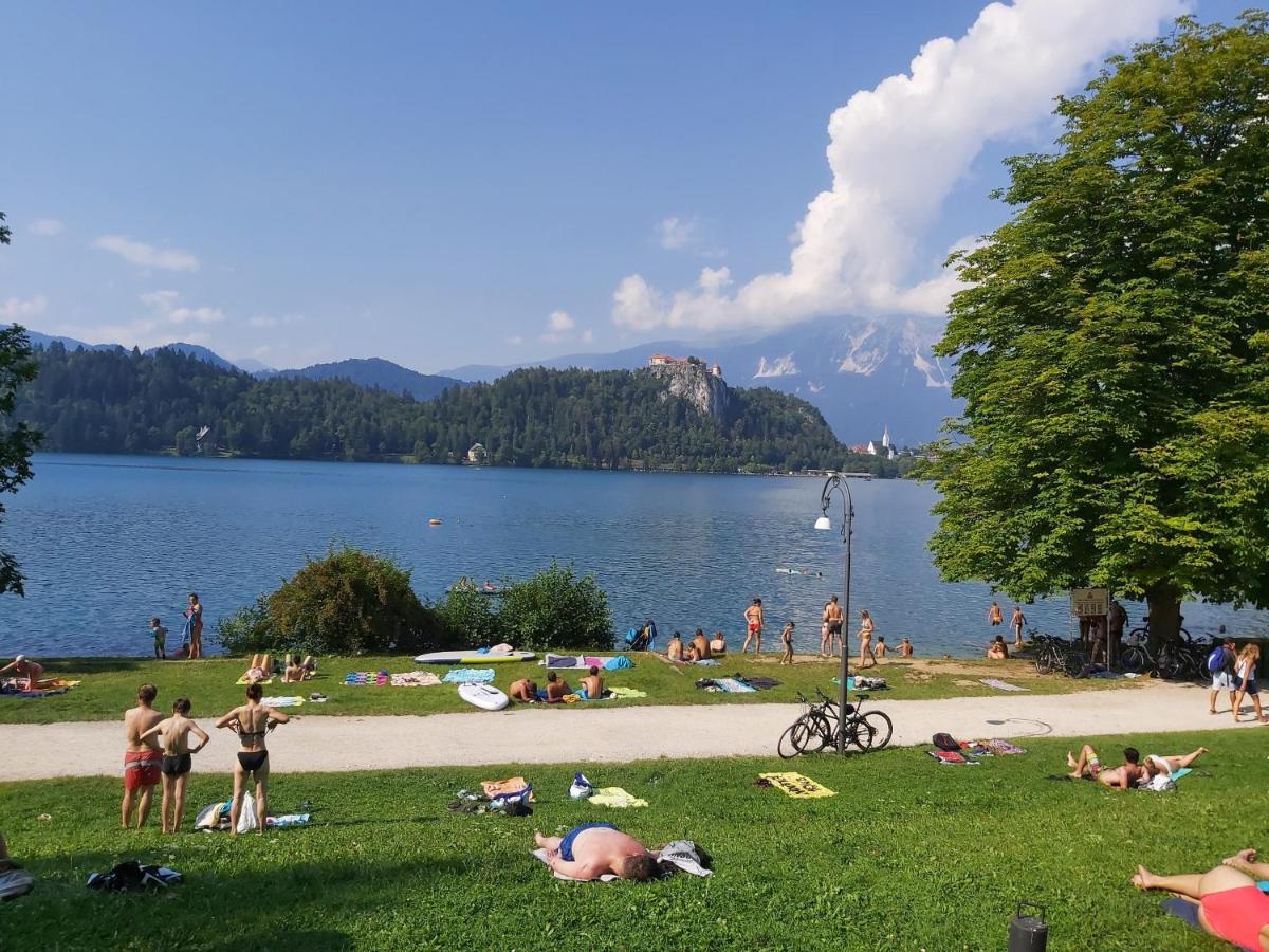 Paradise Bohinjska Bela