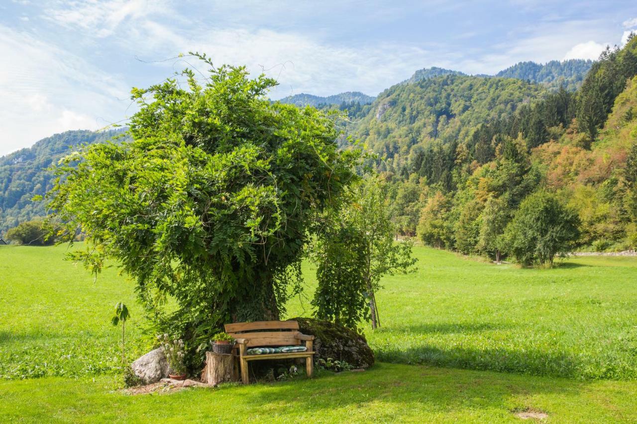 Apartment Paradise Bohinjska Bela
