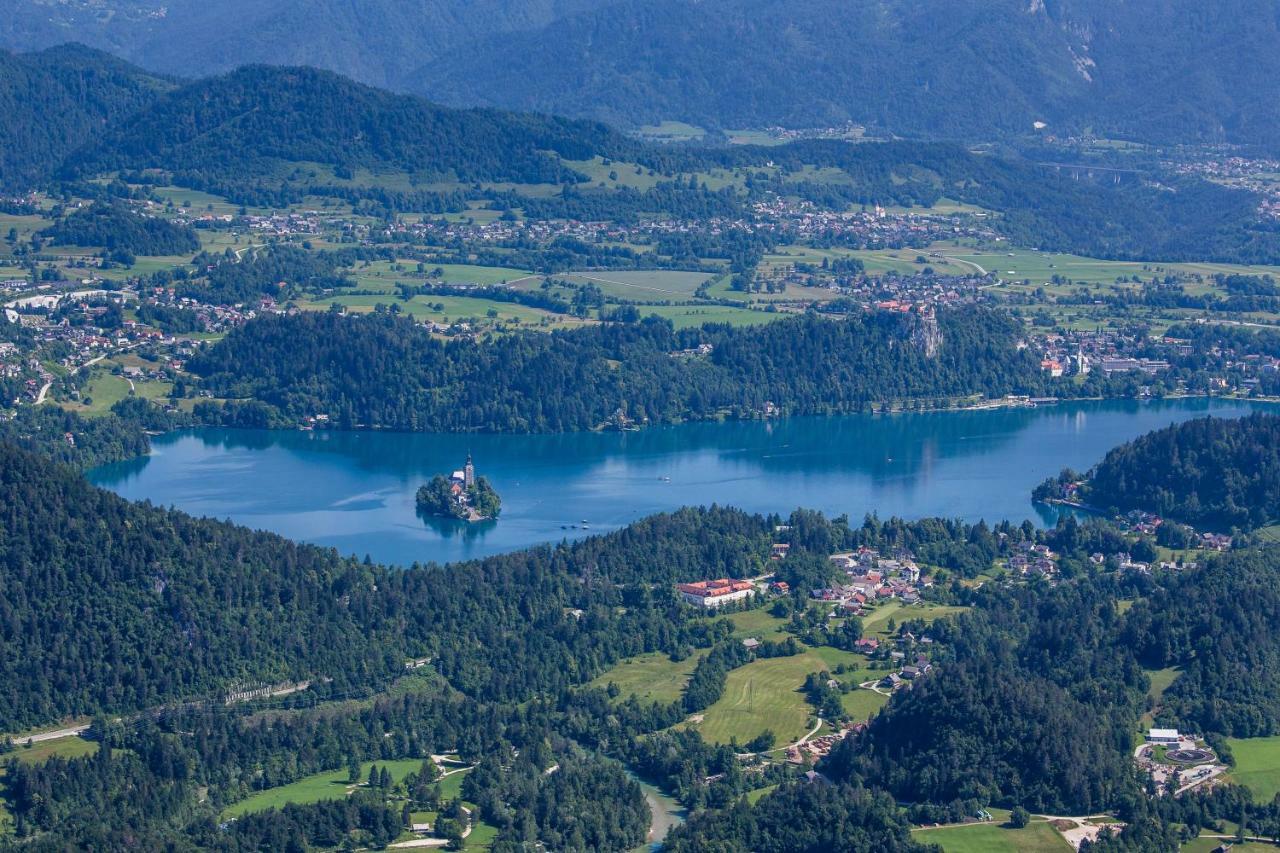 Paradise Bohinjska Bela