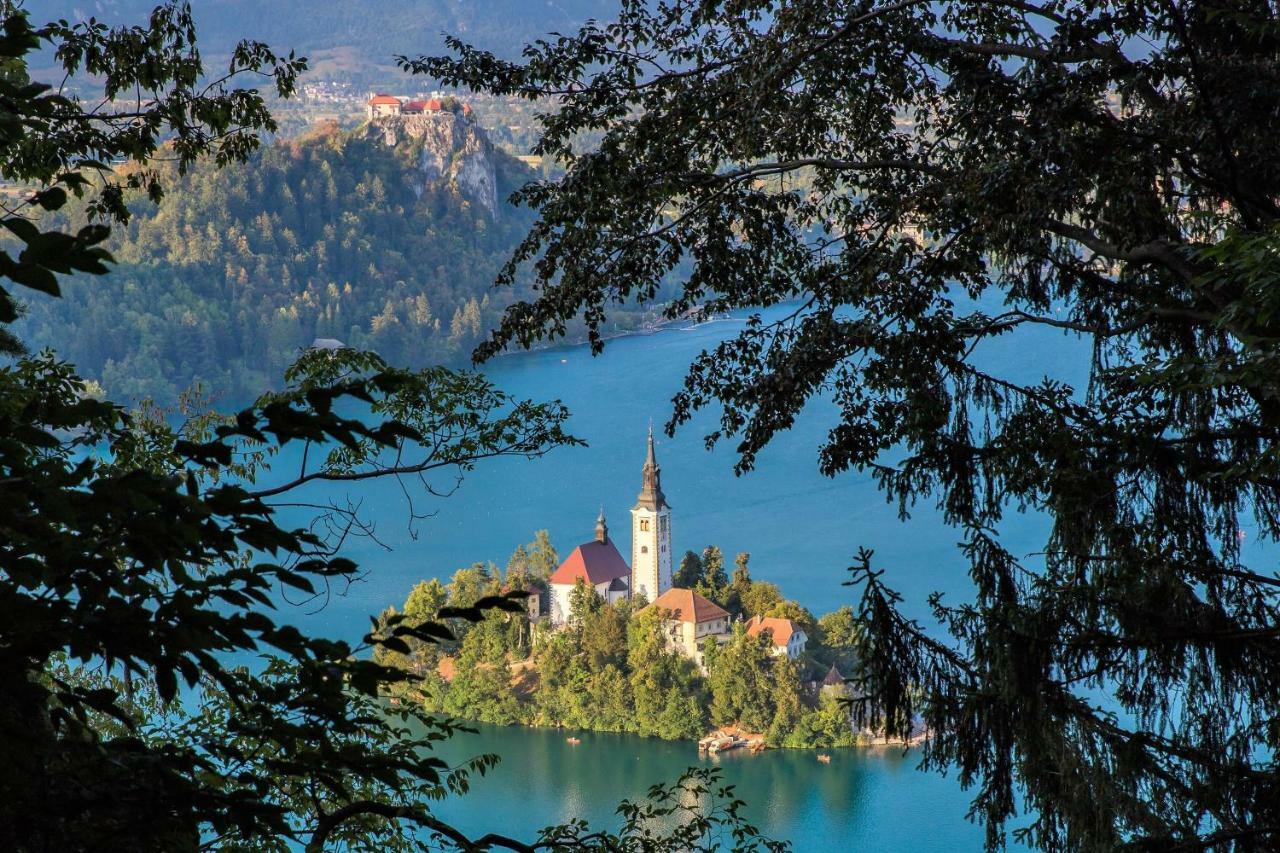 Paradise Apartment Bohinjska Bela